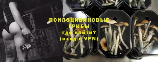 ПСИЛОЦИБИНОВЫЕ ГРИБЫ Алзамай