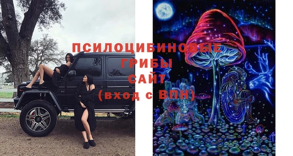 спайс Алексин