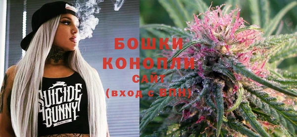 ПСИЛОЦИБИНОВЫЕ ГРИБЫ Алзамай