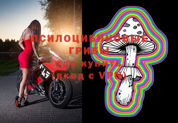 ПСИЛОЦИБИНОВЫЕ ГРИБЫ Алзамай