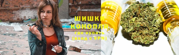 ПСИЛОЦИБИНОВЫЕ ГРИБЫ Алзамай