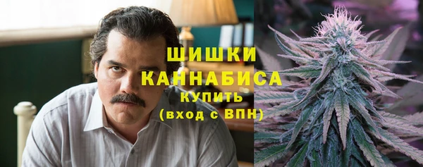 ПСИЛОЦИБИНОВЫЕ ГРИБЫ Алзамай