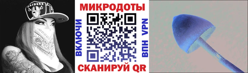Галлюциногенные грибы мухоморы  mega онион  Николаевск-на-Амуре 