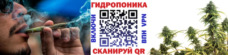 Каннабис план  продажа наркотиков  блэк спрут   Николаевск-на-Амуре 
